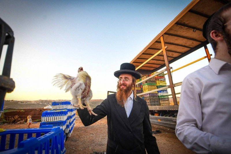 ארי קופרשטוק