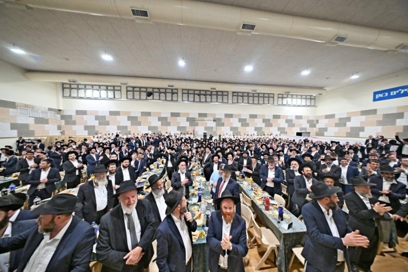 יהושע פרוכטר