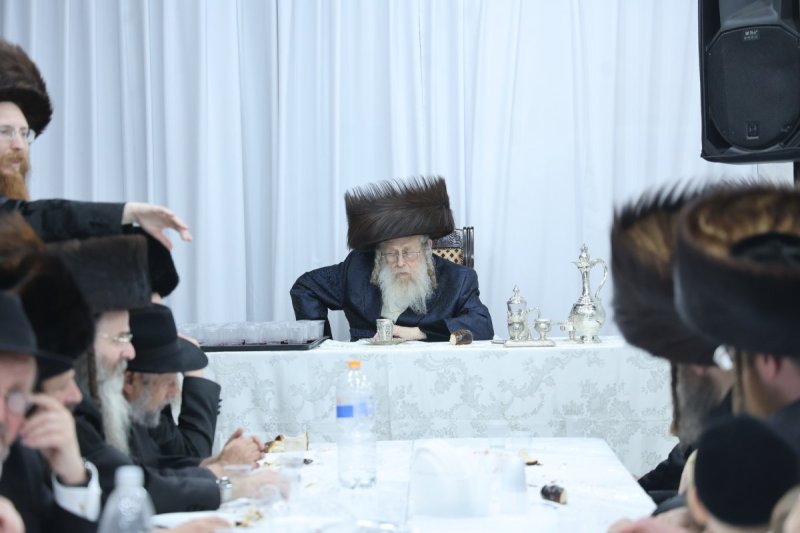 שלומי טריכטר