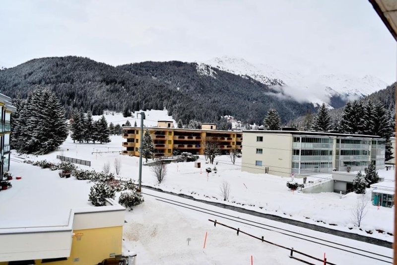 יהושע פרוכטר