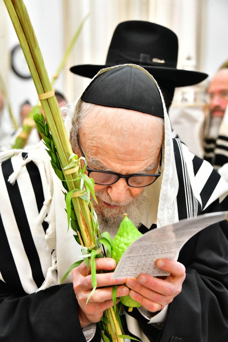 שוקי לרר