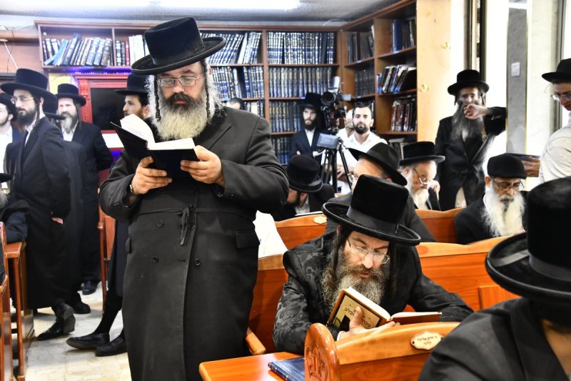 שוקי לרר