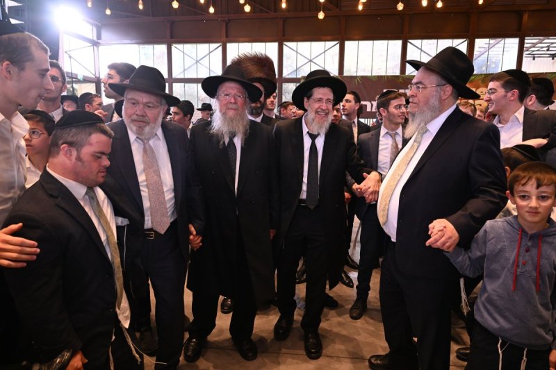 ליפא מוזר