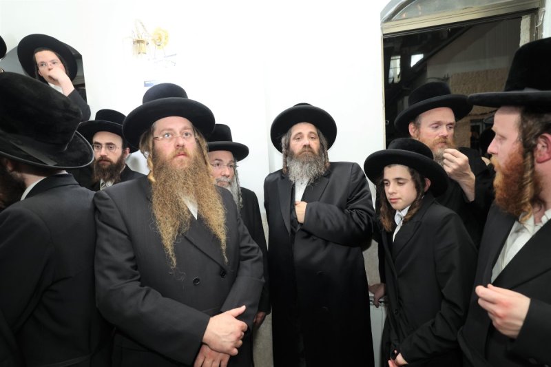 דוד ארזני וארי קופרשטוק