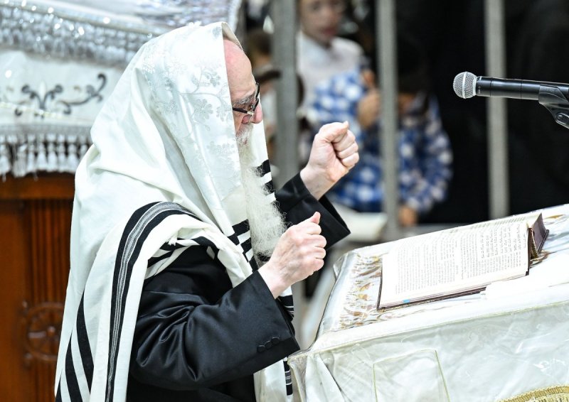 משה גולדשטיין