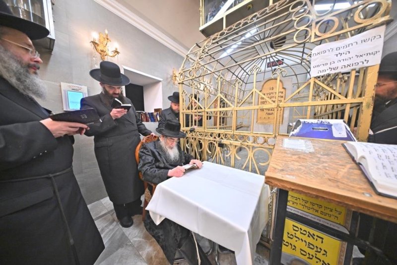 יהושע פרוכטר