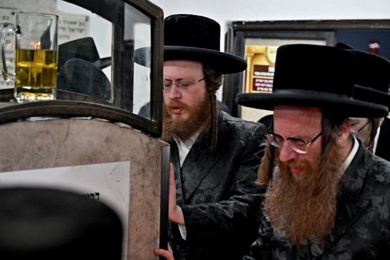 יהושע פרוכטר