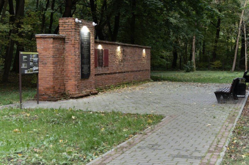 אנדריי בויץ