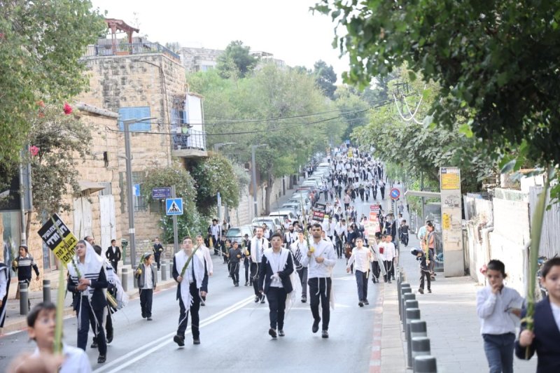 שלומי טריכטר ומ.פ