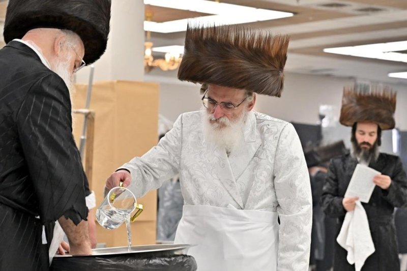 יהושע פרוכטר