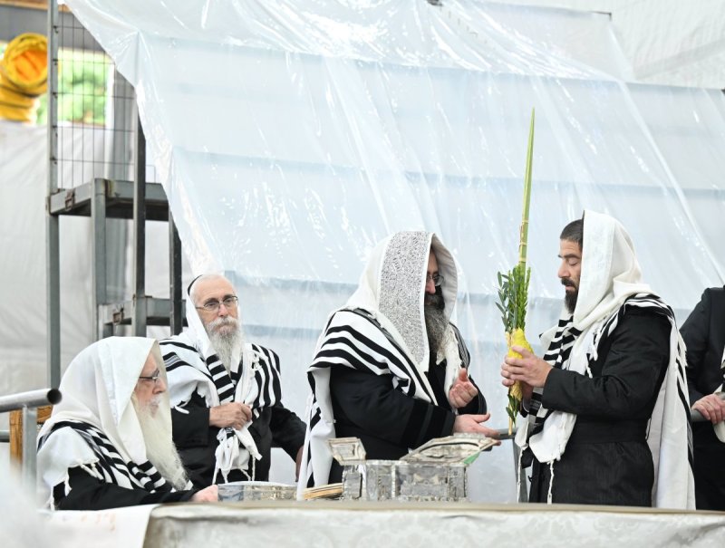 משה גולדשטיין