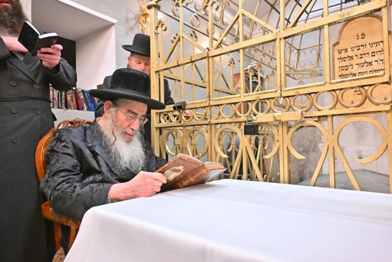 יהושע פרוכטר