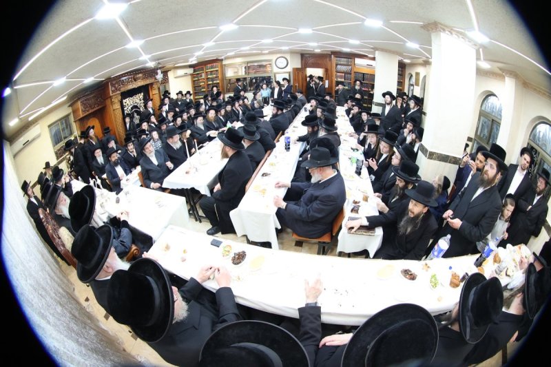 שלומי טריכטר