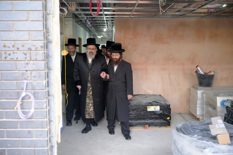 דודי בראון