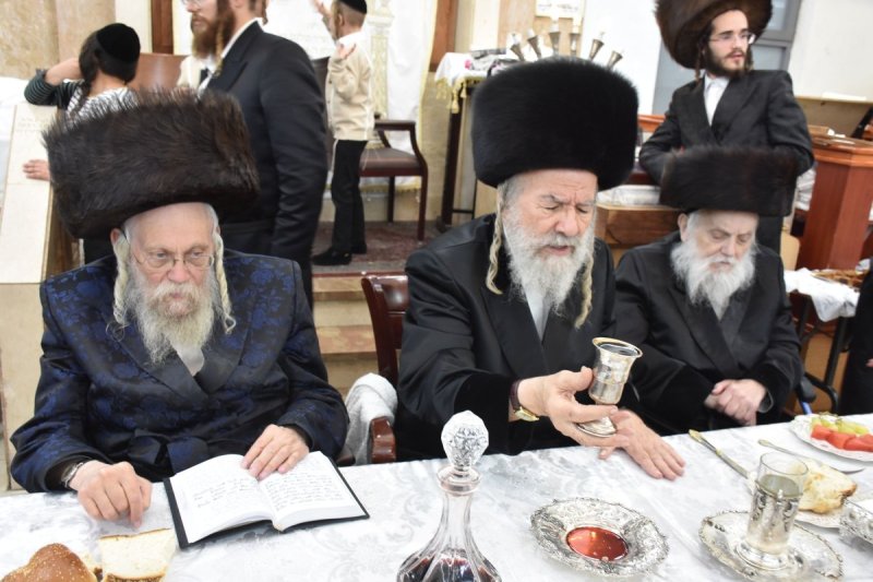 יהודה פרקוביץ