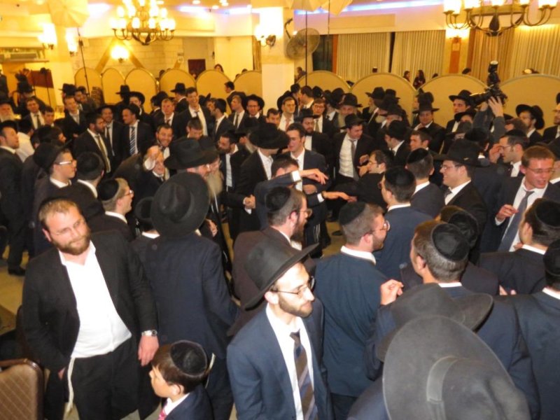 שלומי טריכטר