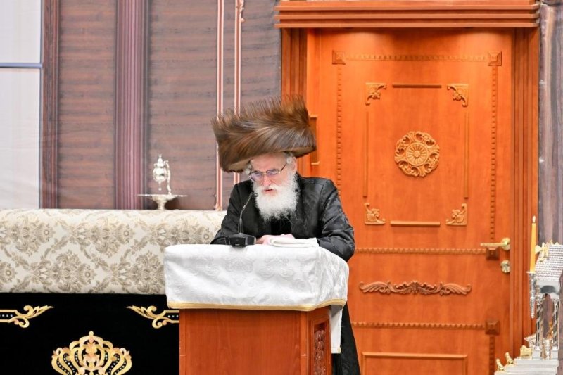 יהושע פרוכטר