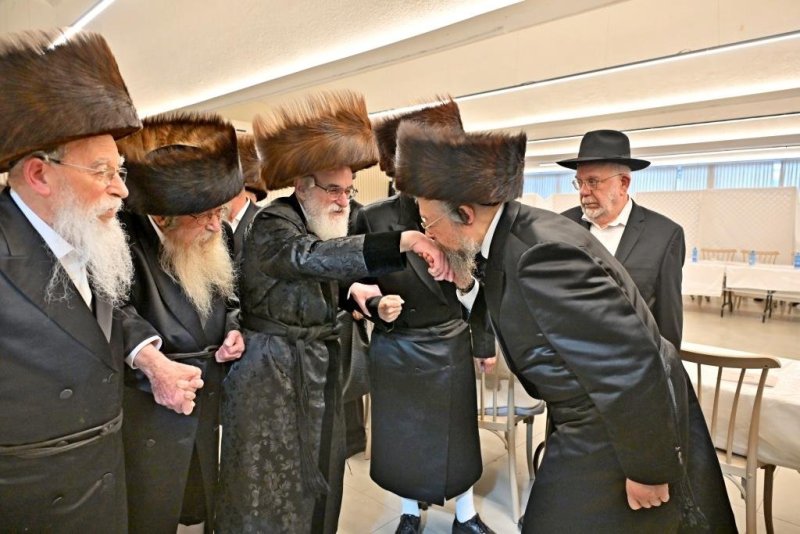 יהושע פרוכטר