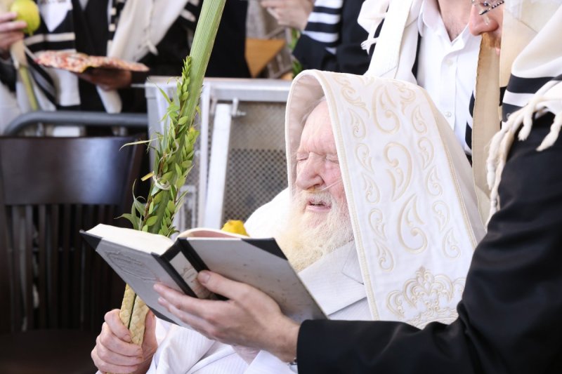 שוקי לרר ושמואל דריי