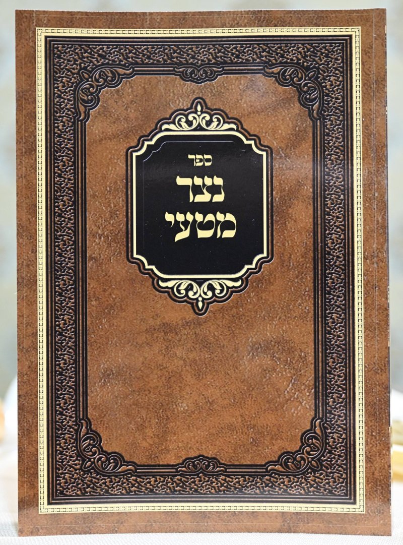 משה גולדשטיין