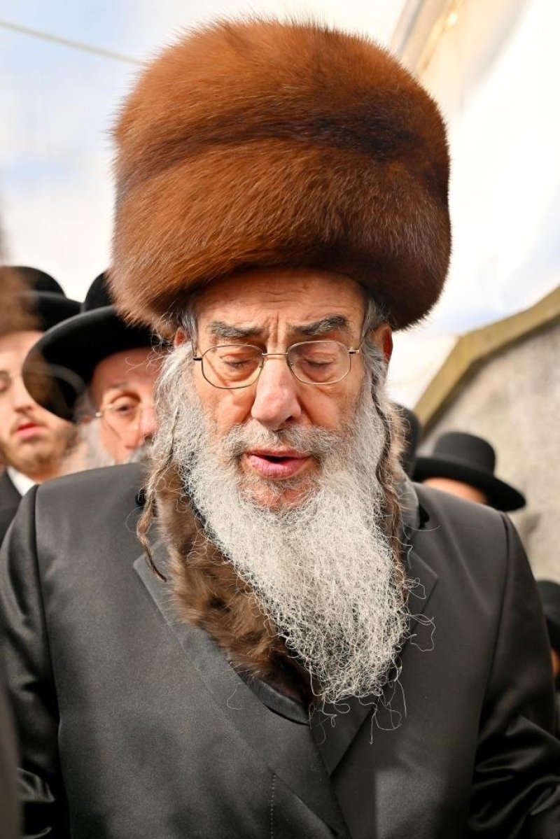 יהושע פרוכטר