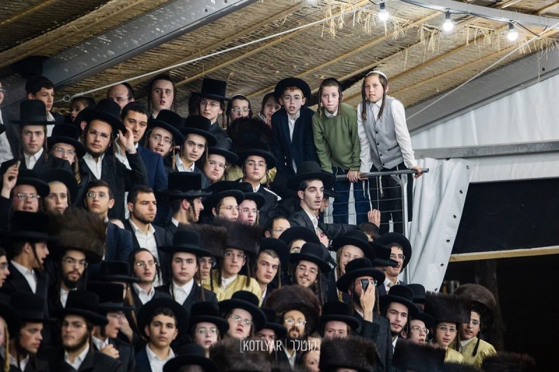 מענדי קוטלר