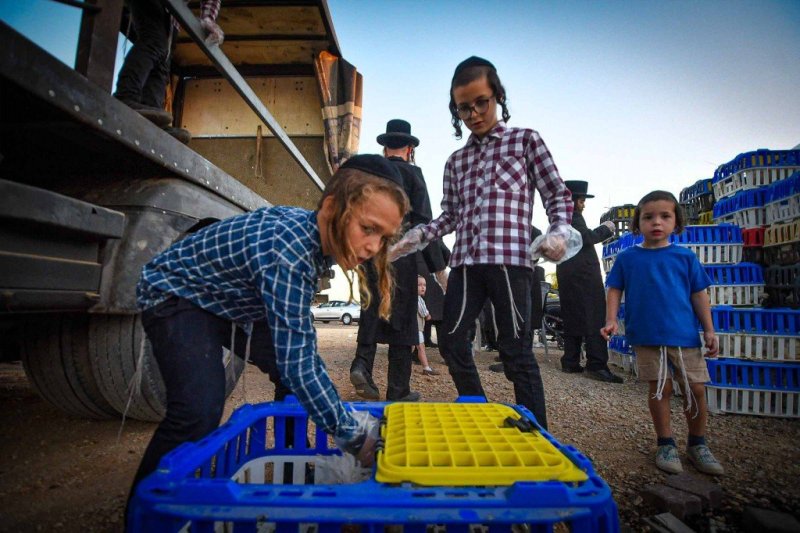 ארי קופרשטוק