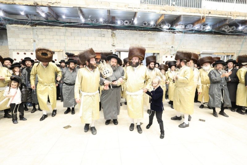 שלומי טריכטר