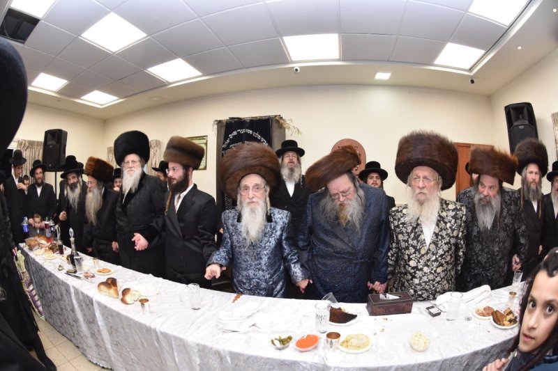 יהודה פרקוביץ