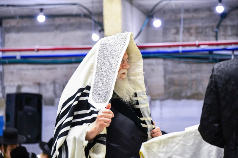 שוקי לרר