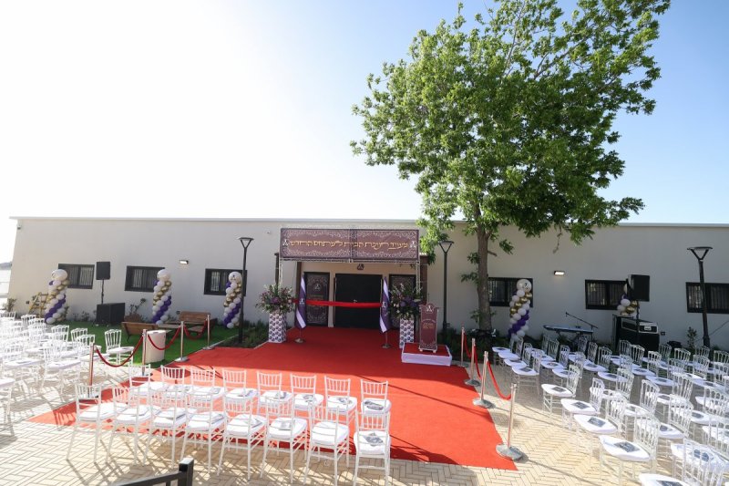 שלומי כהן
