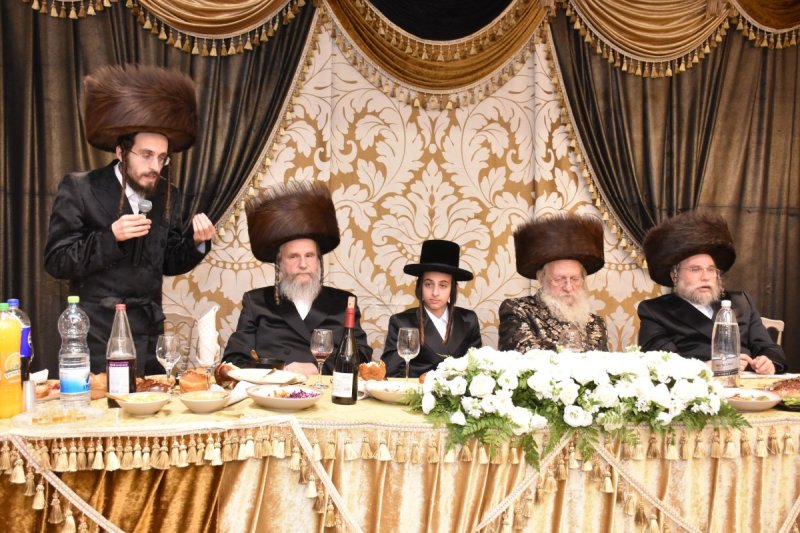 יהודה פרקוביץ