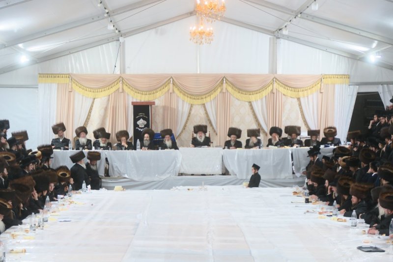 מ. אדלר