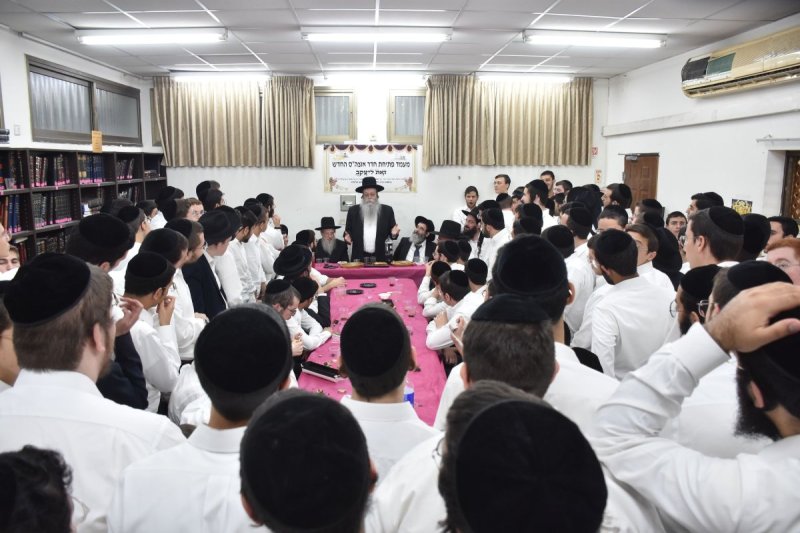 יהודה פרקוביץ