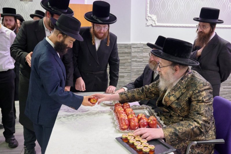 דודי בראון
