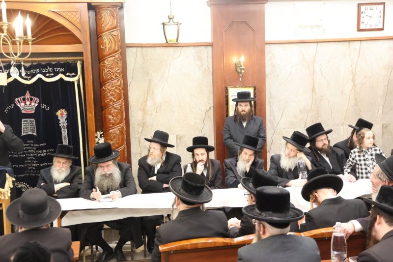 שלומי טריכטר