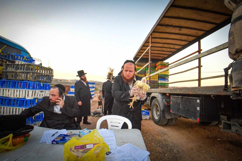 ארי קופרשטוק