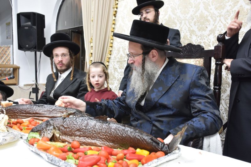 יהודה פרקוביץ