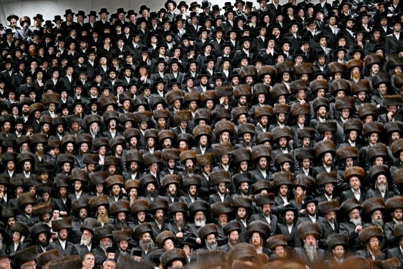 יהושע פרוכטר