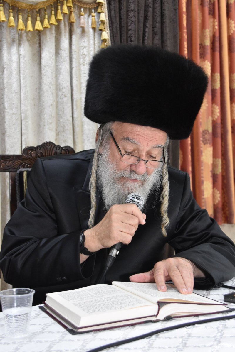 יהודה פרקוביץ