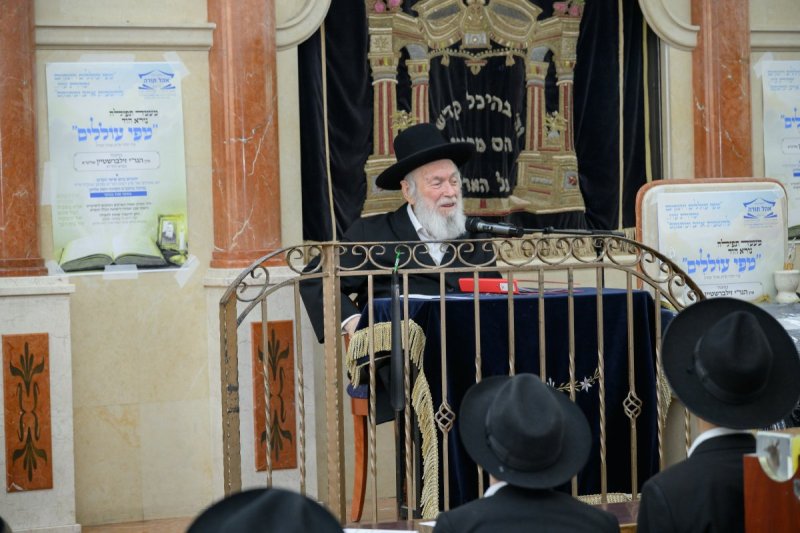 מנדי רוט