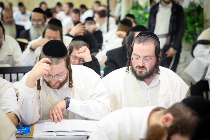 א. אייזנבאך