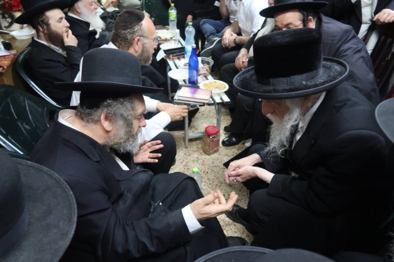 שימי פ.