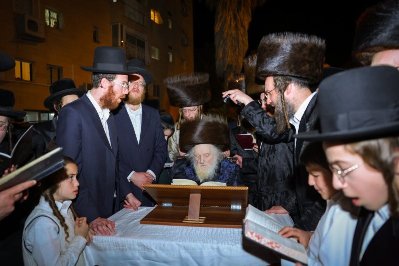 דניאל נפוסי