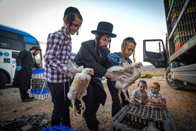 ארי קופרשטוק