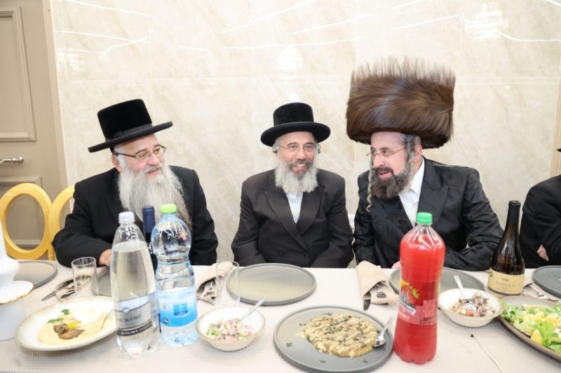 שלומי טריכטר