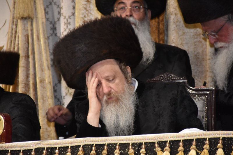 יהודה פרקוביץ