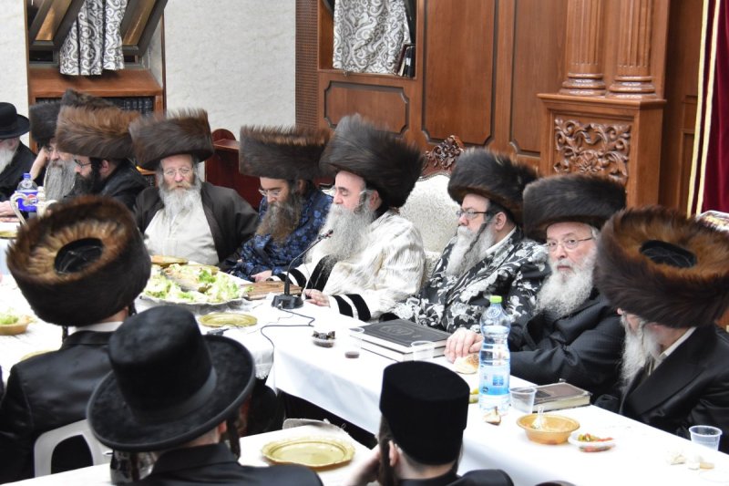 יהודה פרקוביץ