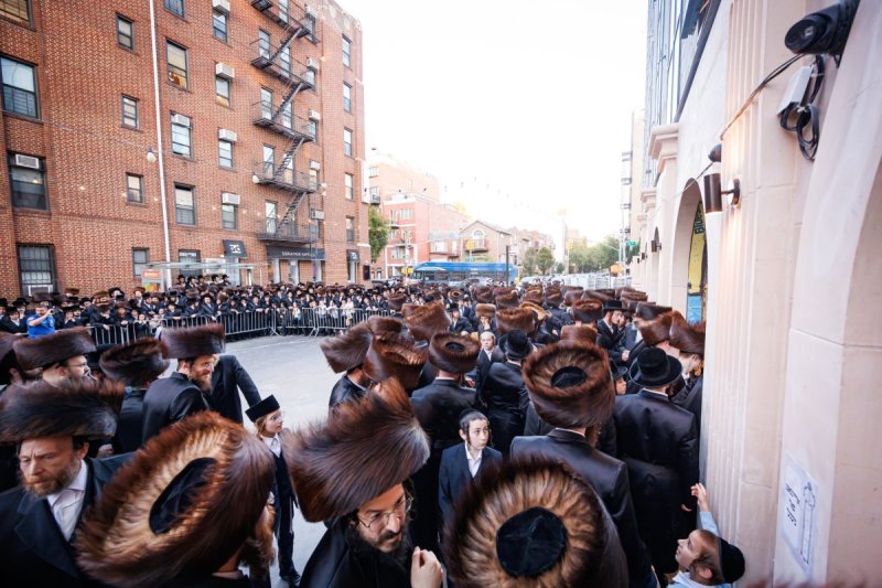 האחים לאנטשעווסקי ואושי וויינגארטן