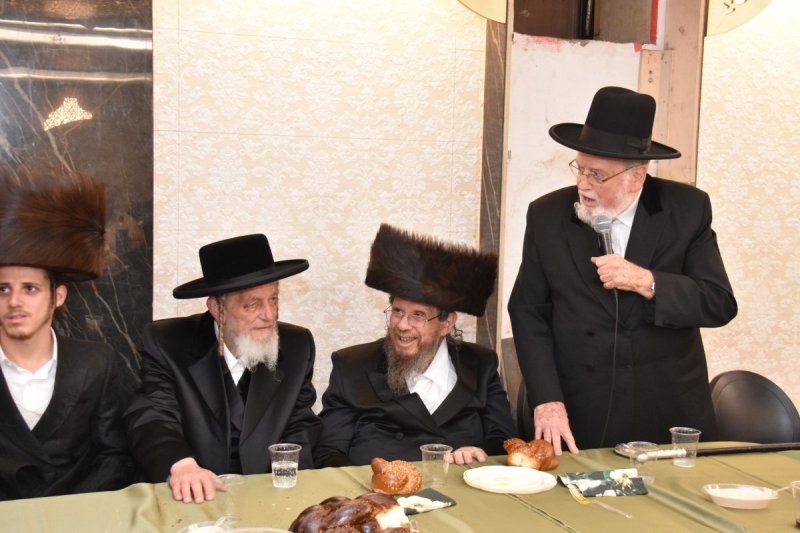 יהודה פרקוביץ